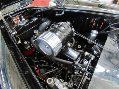 img 7582