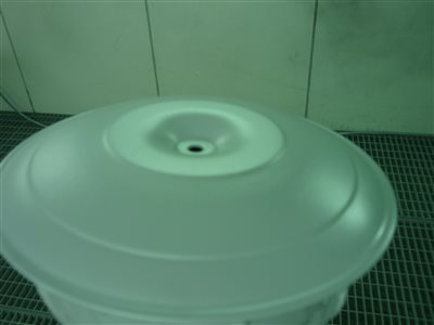 p1290366
